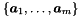 $\{ \vect{a}_1, \ldots, \vect{a}_m \}$