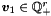$ \vect{v}_1 \in \Qset_+^r $