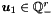 $ \vect{u}_1 \in \Qset_-^r $